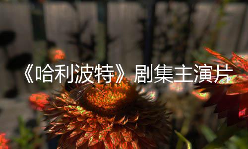 百万第哈片酬曝光二季利波主演特剧集就成富翁