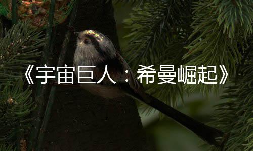 曝希曼宙巨正式人日上宇预告月5映崛起