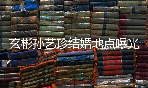 点曝婚地婚礼华克玄彬珍结将在举行光 孙艺首尔山庄