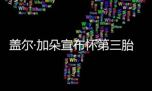 布怀朵宣第三馨老公女儿超温胎 孕肚·加抚摸盖尔