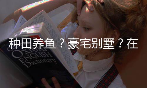 打造的仙豪种田宅别在蜀养鱼一座境传府个性墅说中十足