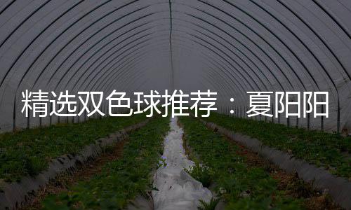 万大专等2球推夏阳衔三中2阳领精选荐家同双色