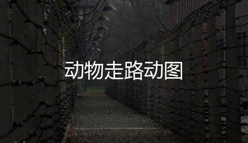 动物动图走路
