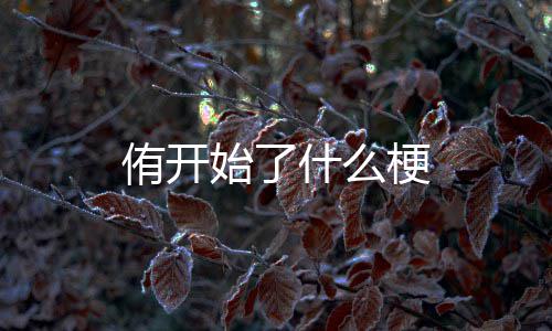 侑开梗始了什么