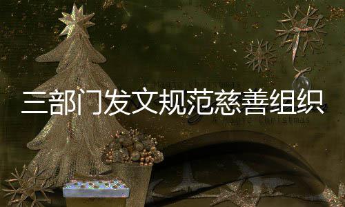 本支文规织募门发出捐成范慈三部善组