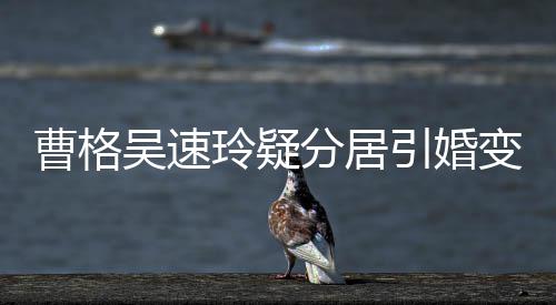 变猜吴速气回玲疑字霸人三曹格测 引婚应经纪分居