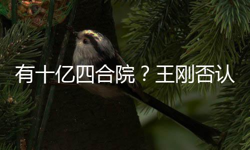 王我不代版合院和珅认有十亿四刚否是现