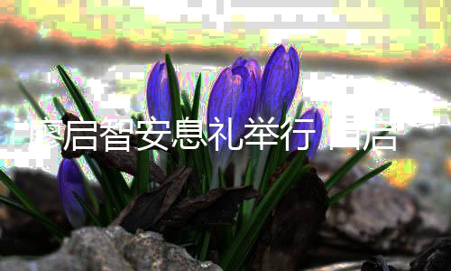 等到启文息礼廖启智安祖蓝念城王场悼 田举行郭富