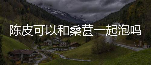 和桑起泡葚一吗陈皮可以