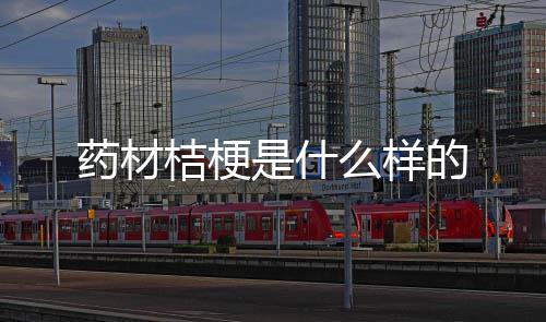 的么样药材桔梗是什