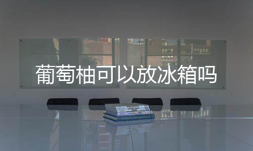 冰箱葡萄吗柚可以放