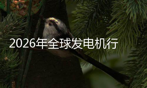 电机球发行业先企领年全内外名业国及排份额规模市场市场